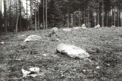 Krąg nr I przed badaniami archeologicznymi (widok od strony południowej)
